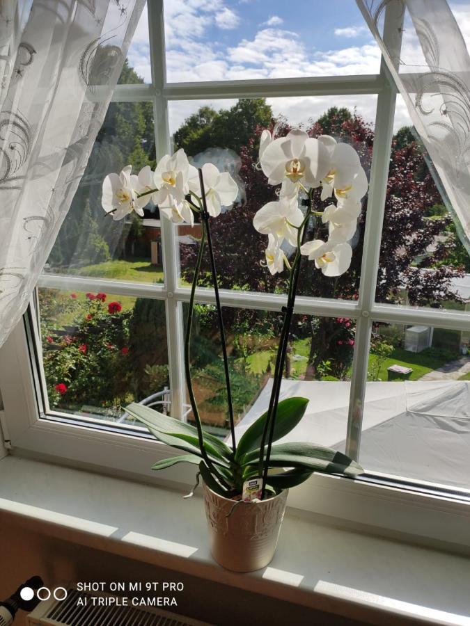 Blumen Apartment Hamburg Ngoại thất bức ảnh